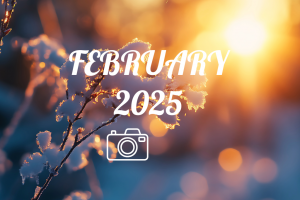 February 2025 Watch Photography