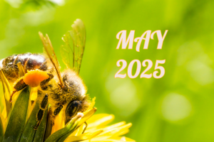 May 2025 Watch Photography Harrogate