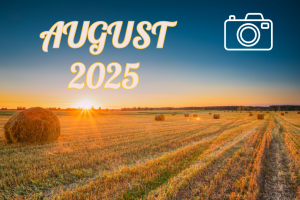 August 2025 Watch Photography